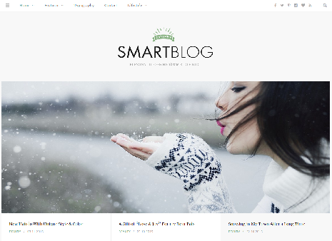 Smart Blog WordPress themes for Bloggers