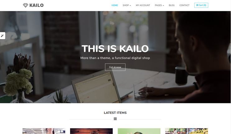 Kailo theme for online digital shops