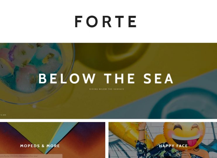 Forte WordPress theme for writers