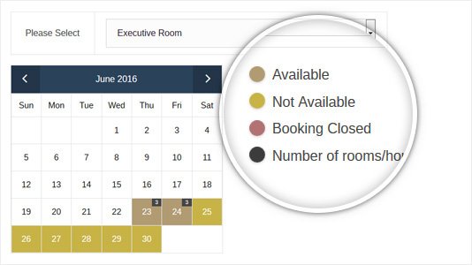 WordPress Booking Theme With Availability Calendar