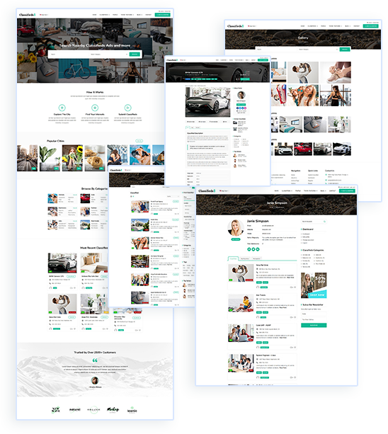 Visual composer with WordPress theme for online classifieds website