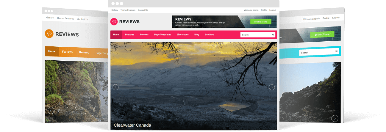 WordPress Reviews Theme