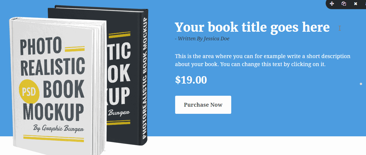 Book launch website cover