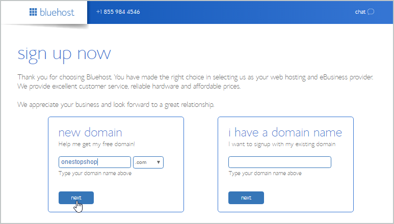 Bluehost domain name