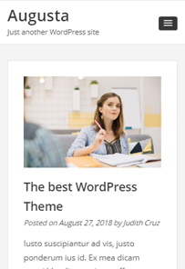 FREE WordPress Theme