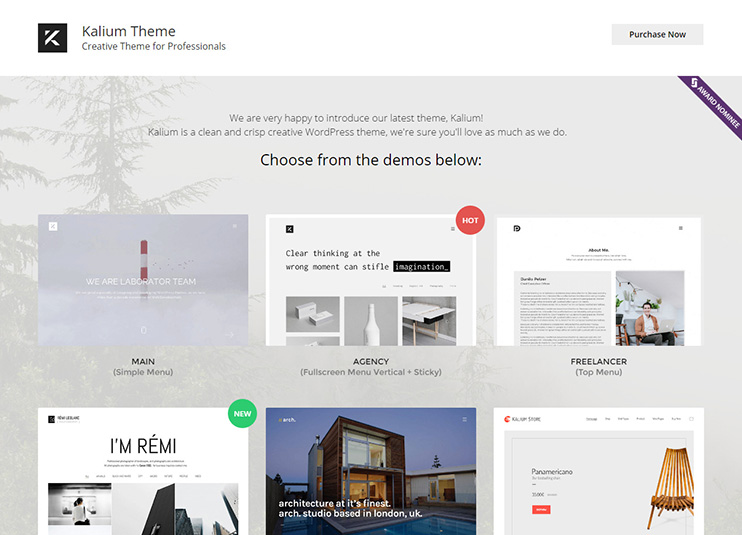 Kalium - Creative Theme for Professionals at themeforest