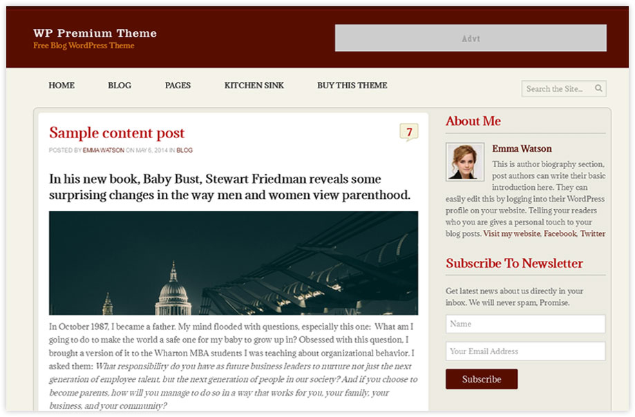 Free WP Premium theme For Internet marketers