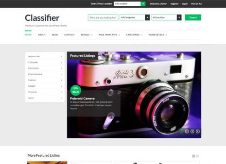 classifier premium WordPress theme