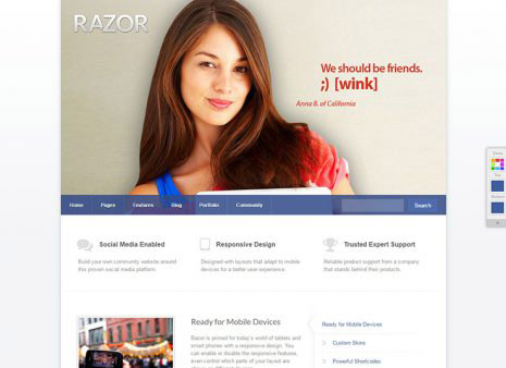Razor professional theme for social networks