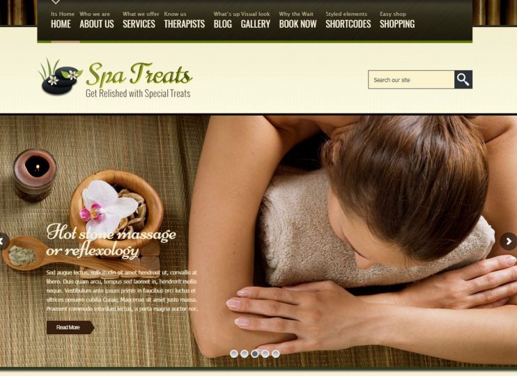 Theme for spa and beauty salons