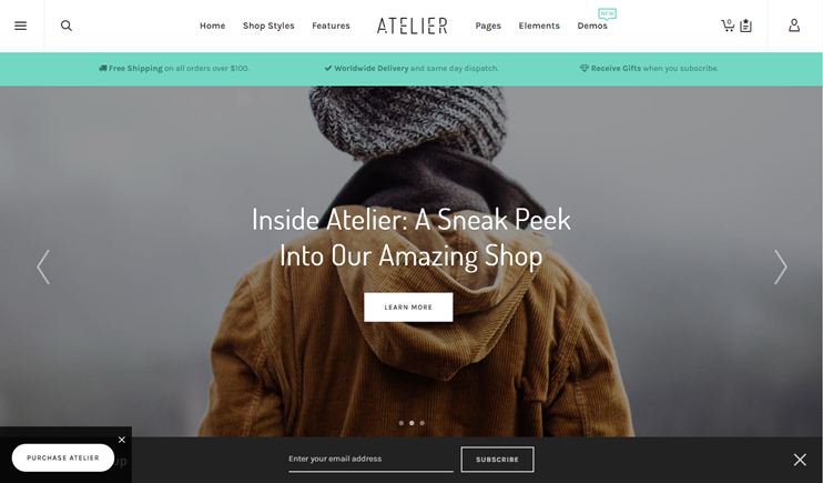 ecommerce themes