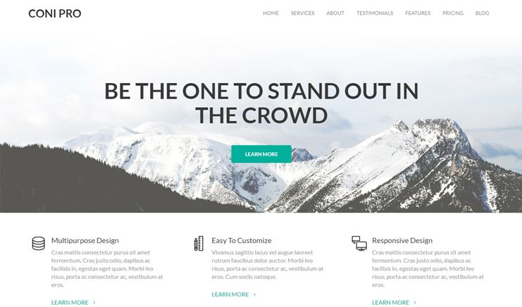 Coni Pro SEO optimized WordPress business theme