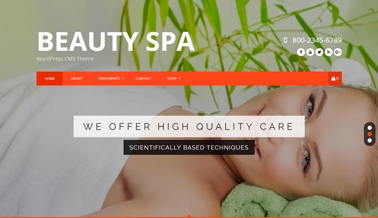 Health and beauty theme for WordPress