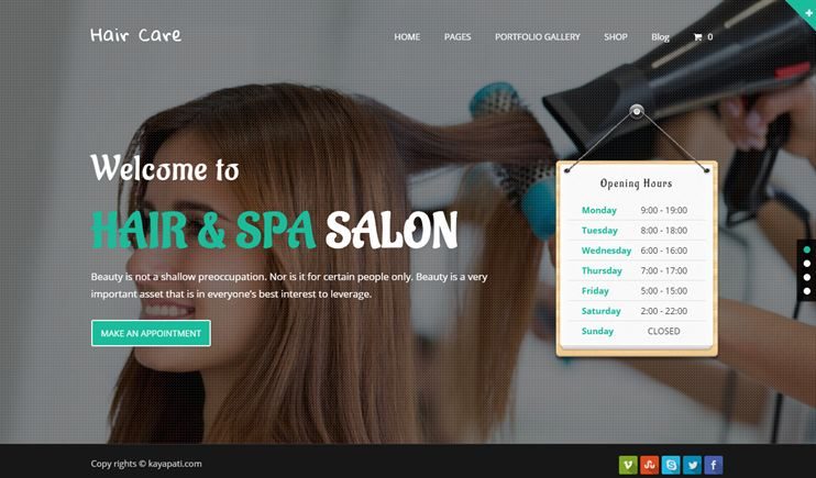 Hair Care WordPress theme