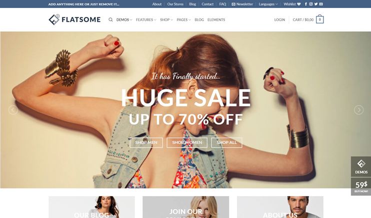 WordPress eCommerce themes