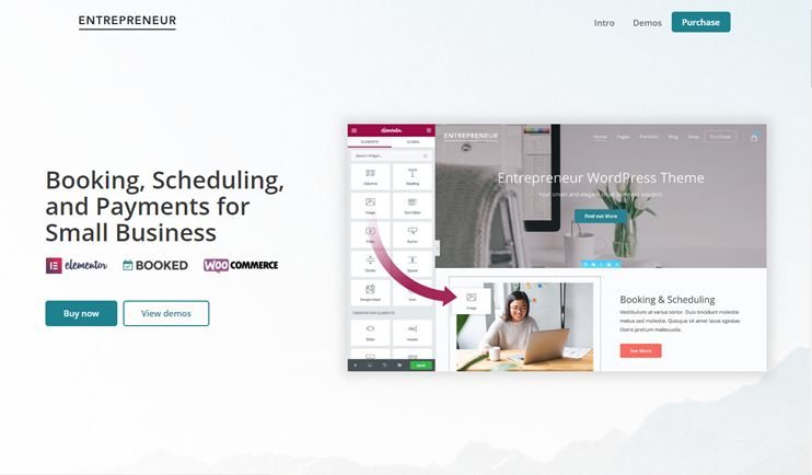 Entrepreneur small businesses booking theme