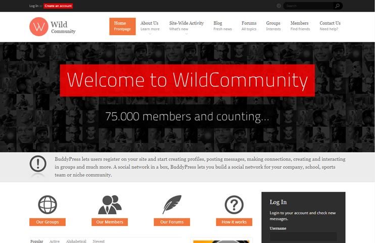 WildCommunity WordPress BuddyPress theme