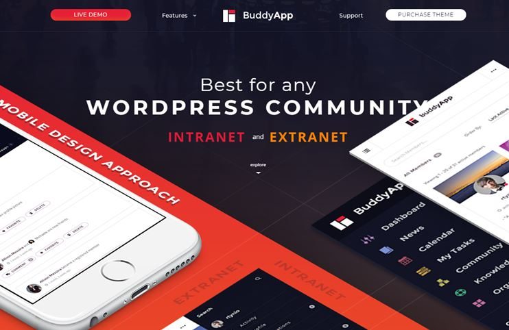 BuddyApp mobile community WordPress theme