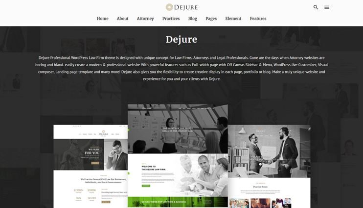 Dejure responsive WordPress theme