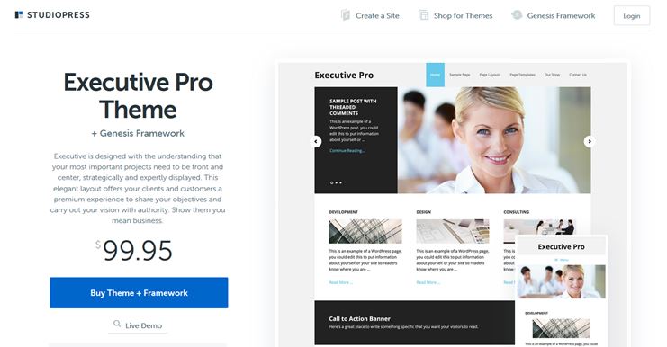 Executive Pro theme for lawyers
