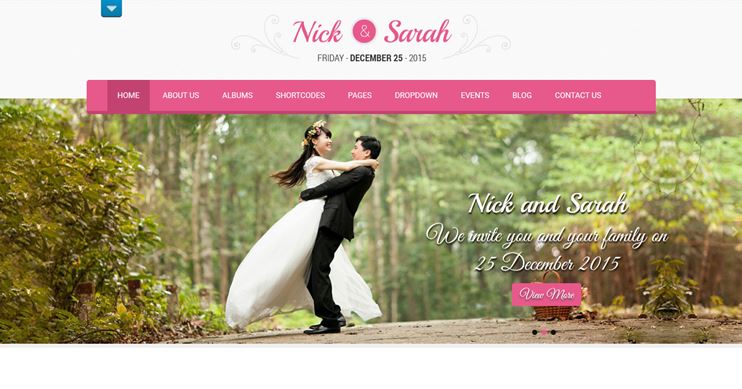 Nuptials - Wedding Event WordPress theme