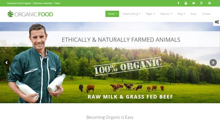 Organic Food WordPress theme
