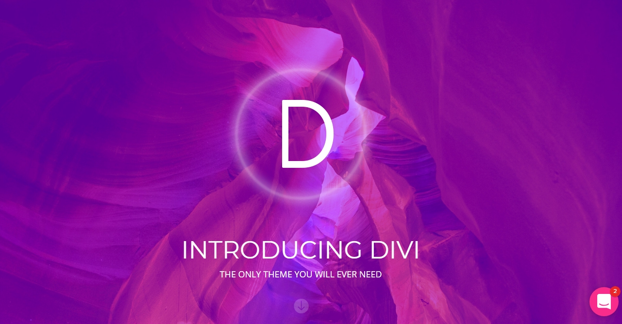 Elegant themes divi