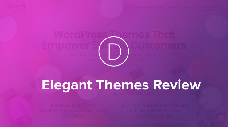 Elegant themes review