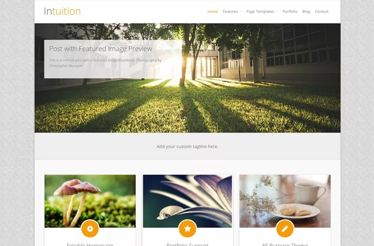 Intuition Free WP Theme