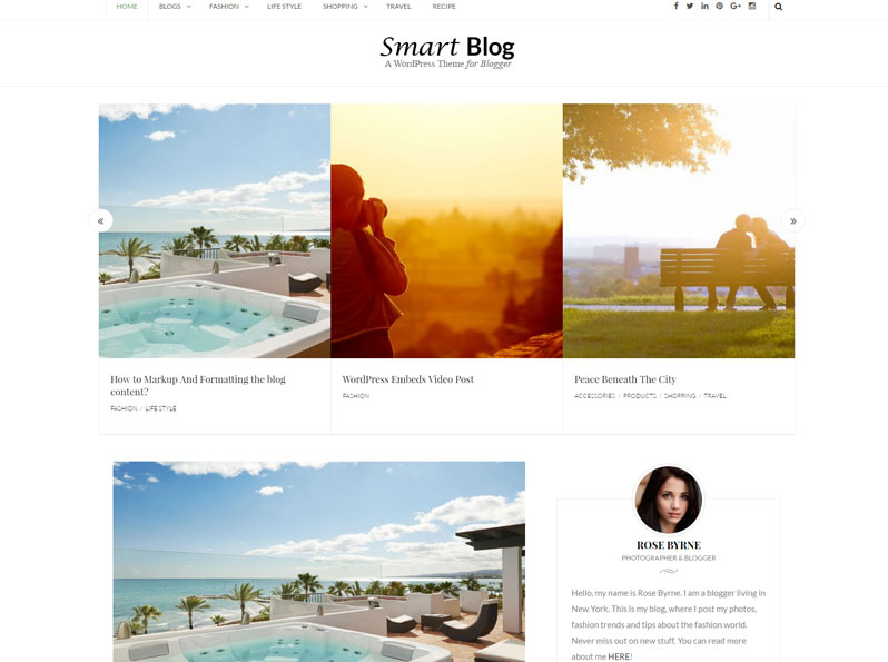 Smart Blog Free WP Theme