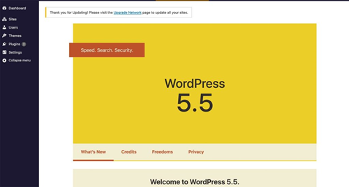 wordPress 5.5 features