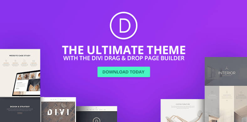 Divi Theme