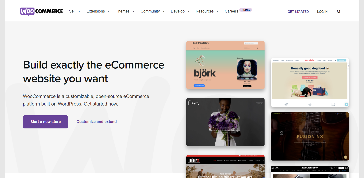 setup a WooCommerce store