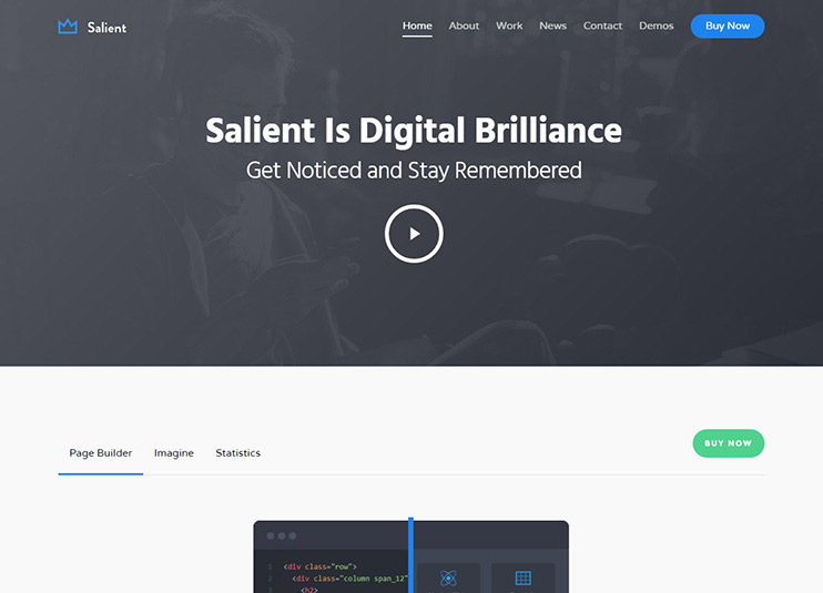 Salient - Responsive Multi-Purpose Theme at themeforest